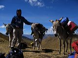 img_0102