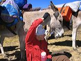 img_0104