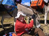 img_0105