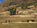 img_0133