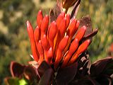 img_0154