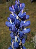img_0156