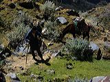 img_0159