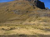 img_0181
