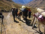 img_0189