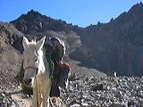img_0239