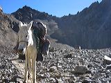 img_0240