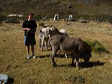 img_0265
