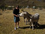 img_0266