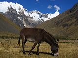img_0268