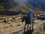 img_0274