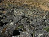 img_0275