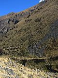 img_0278