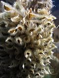 img_0293