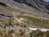 img_0294