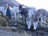img_0303