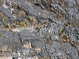 img_0305