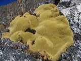 img_0309
