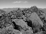 img_0338
