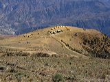 img_0348