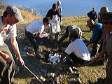 img_0352