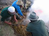 img_0363