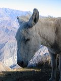 img_0373