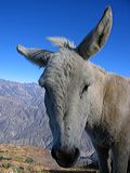 img_0374