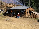 img_0380