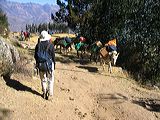 img_0382
