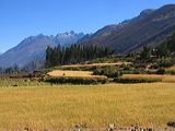 img_0389