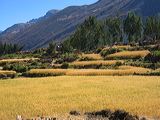 img_0390