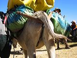 img_0413