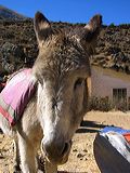 img_0416