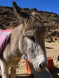 img_0417