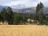 img_9843