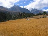 img_9845