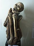 img_9868