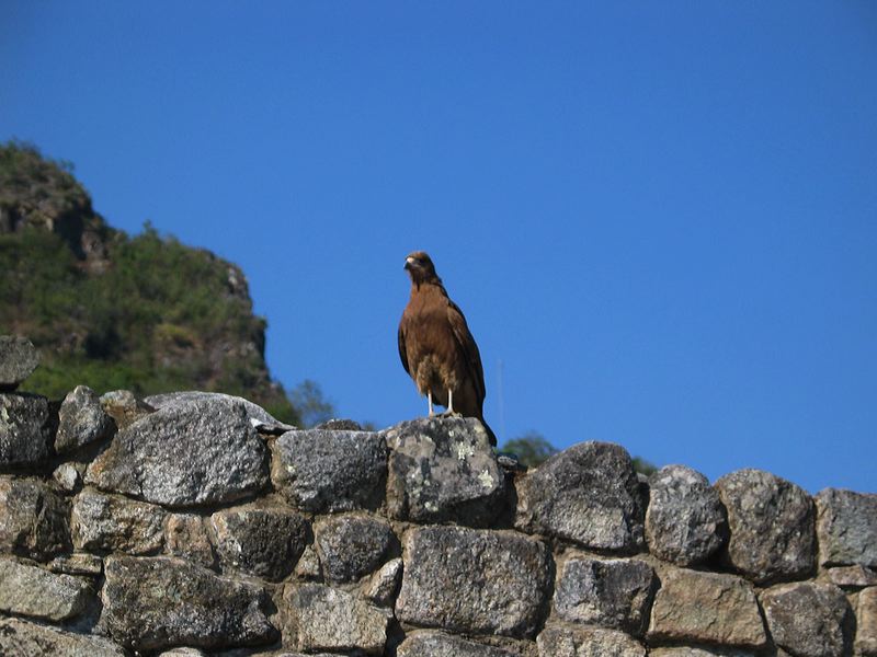 img_2731.jpg
