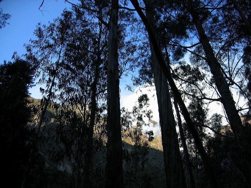 img_8867.jpg