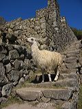 img_0797