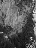 img_0808