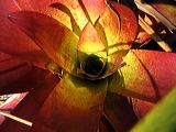 img_8838
