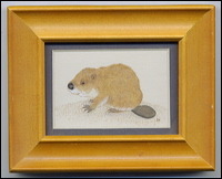 beaver