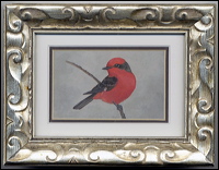flycatcher