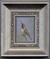 luciferhummingbird