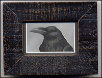 ravenportraitjf
