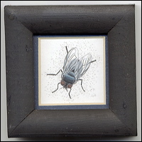 thefly