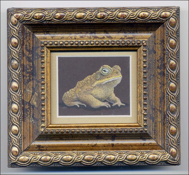 caintoad.jpg