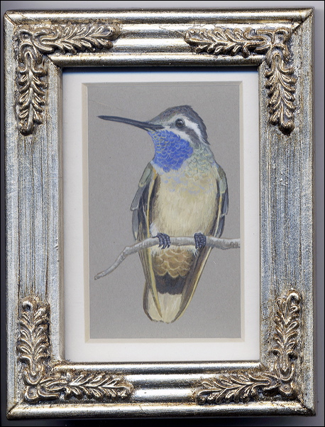 hummingbirdblue.jpg